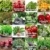 Karotten &#8211; nachhaltiges Nahrungsmittel mit gesundheitlichen Auswirkungen