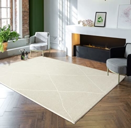 Nachhaltiger und umweltbewusster Designer Teppich ✮ the carpet Lima