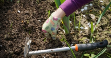 Unkrautvlies im Garten