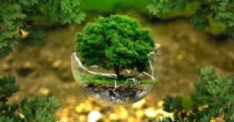 Tipps für eine grüne Weste: So wird Dein Unternehmen nachhaltiger