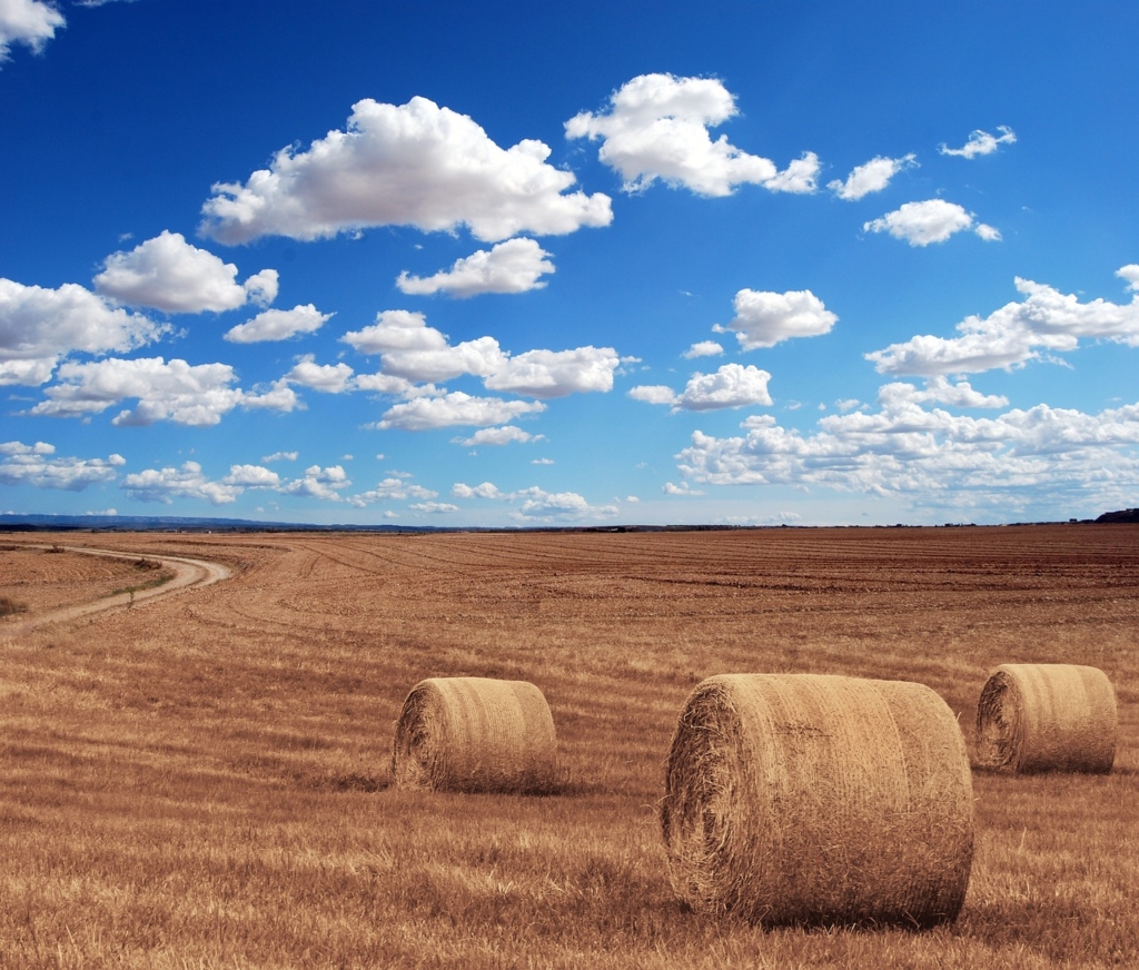 Pacht in der Landwirtschaft: Ein umfassender Leitfaden für Landwirte und Verpächter